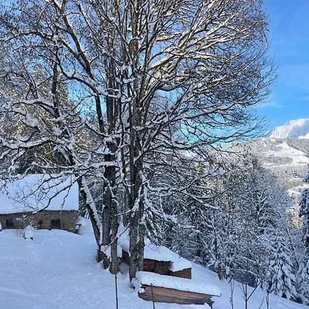 Les Du Mont Blanc דירה *