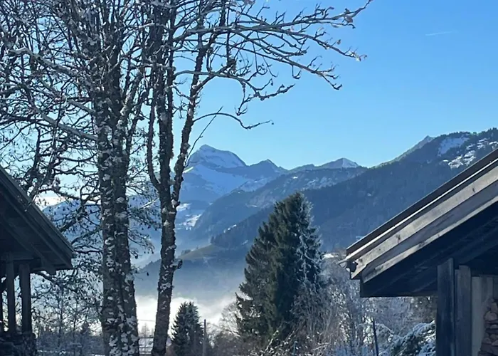 Les Du Mont Blanc דירה